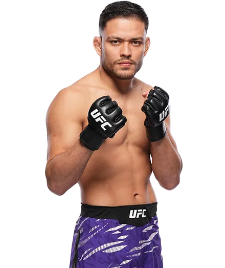 Элвес Бреннер