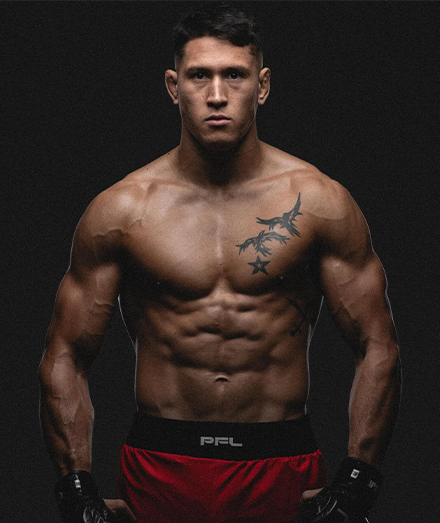 Джино ван Стинис