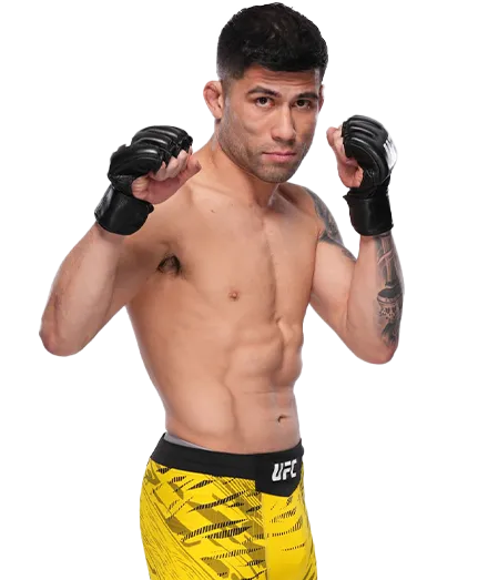 Хайдер Эмил