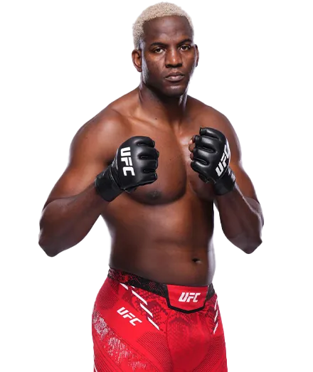 Робелис Деспанье