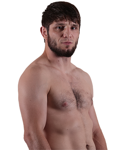 Тагир Магомедов