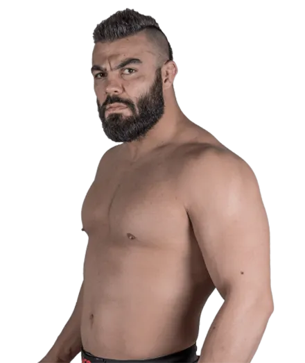 Амир Алиакбари