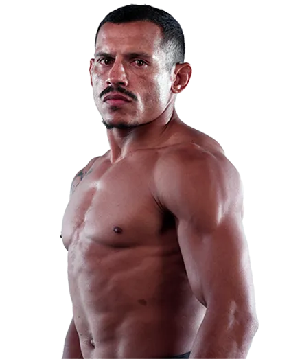 Веллингтон