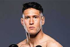 Джино ван Стинис