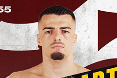 Ариян Топаллай