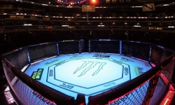 Прохазка против Ульберга: бой за вакантный титул UFC возглавит турнир в Майами