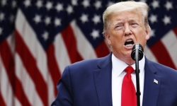 Дональд Трамп публично восхитился непобеждённым рекордом Хабиба в UFC