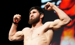 Анкалаев обрушился на Прохазку за объяснения нокаута от Ульберга