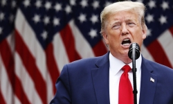 Трамп допустил, что октагон UFC у Белого дома останется навсегда