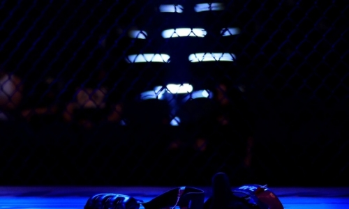 42-летний Каб Суонсон завершил карьеру после победы на UFC 327