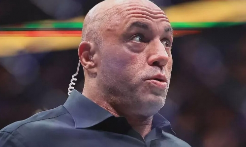 Джо Роган раскритиковал турнир UFC на лужайке Белого дома