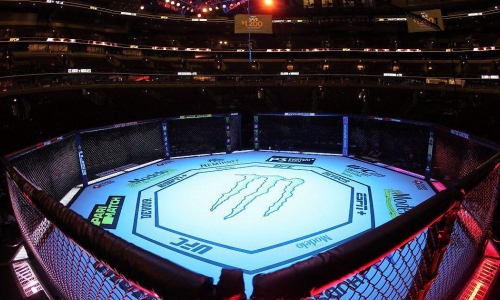 Пэдди Пимблетт подерётся с Бенуа Сен-Дени на UFC 329 в Лас-Вегасе