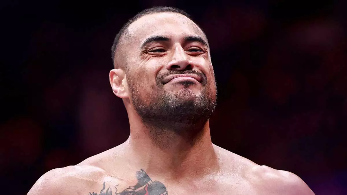 Улберг становится чемпионом, Хокит врывается в топ-5 тяжей UFC
