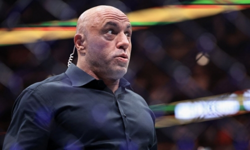 Роган поддержал Роузи в споре с UFC о деньгах и допустил уход звёзд в ММА на Netflix