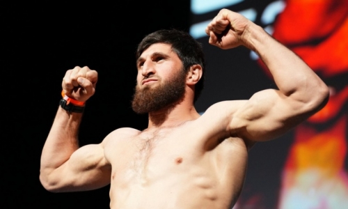 Анкалаев обрушился на Прохазку за объяснения нокаута от Ульберга